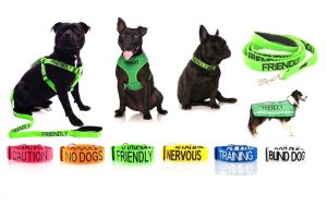 Cheap Chip לכלב Warning Dog Colour Coded Collar Lead Leash Harness Friendly Blind Sizes & Styles