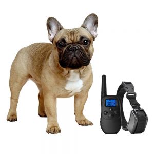 Cheap Chip לכלב Shock Collar for Small Dogs w/Remote + FREE TrainingClicke<wbr/>r- 3 Mode Dog Training