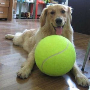 Cheap Chip לכלב Hot 9.5" Big Giant Pet Dog Puppy Tennis Ball Thrower Chucker Launcher Play Toy