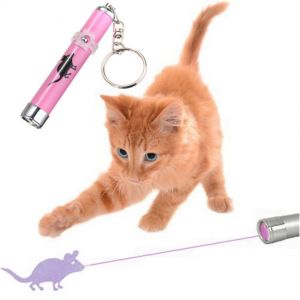 Cheap Chip לחתול Interactive led Training Funny Cat Play Toy Laser Pointer Pen Mouse Animation