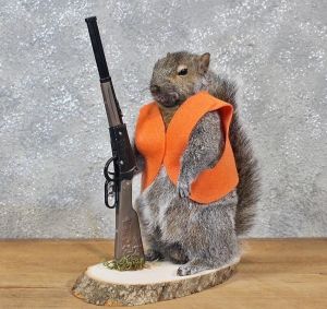 Cheap Chip אביזרי נוי וגאדג׳טים Hunter Hunting Squirrel Taxidermy Animal Statue on Base Home or Office Gift